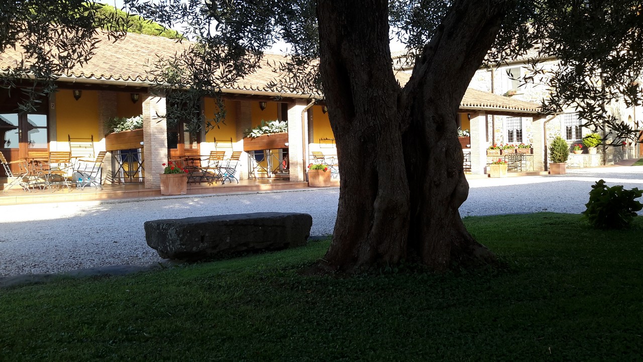 Agriturismo Bolsena - Arlena