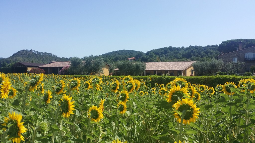 Agriturismo Bolsena - Arlena